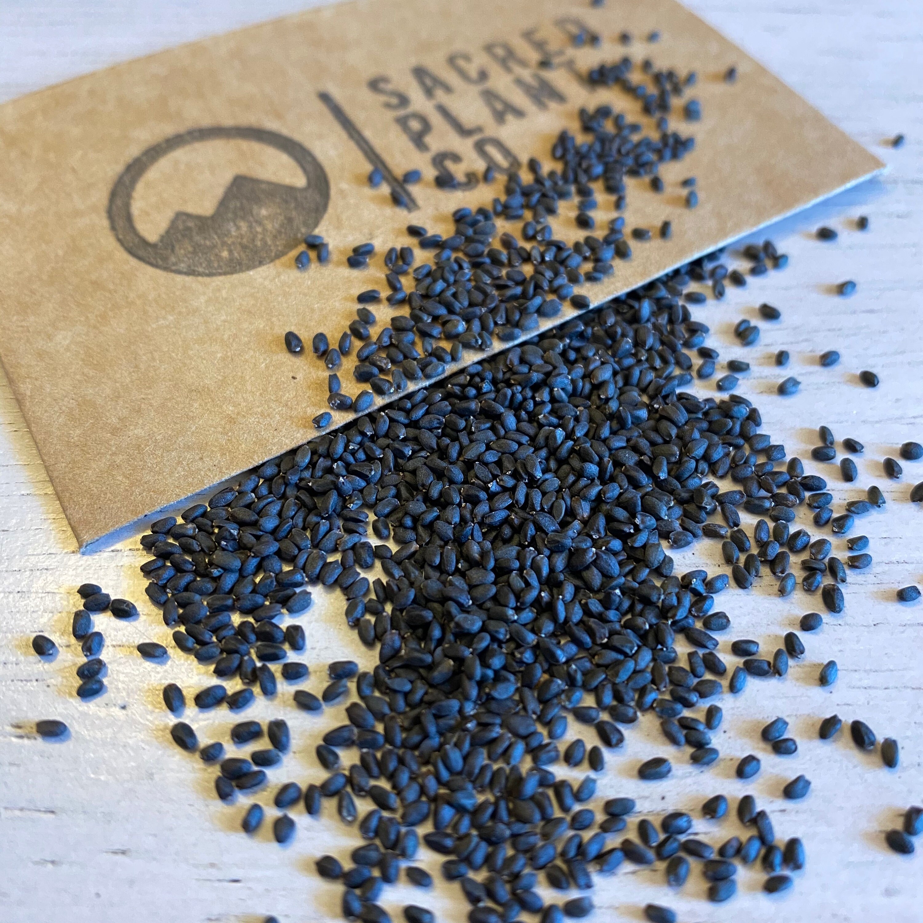 Cinnamon Basil Seeds Mexican Spice Basil Seeds Mexican Etsy