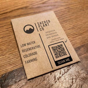 Giant Sequoia seed packet from Sacred Plant Co on warm wood surface.
