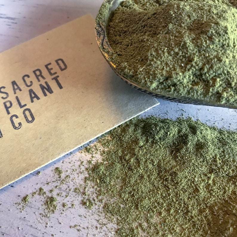 Moringa Powder ontop of Sacred Plant Co logo.