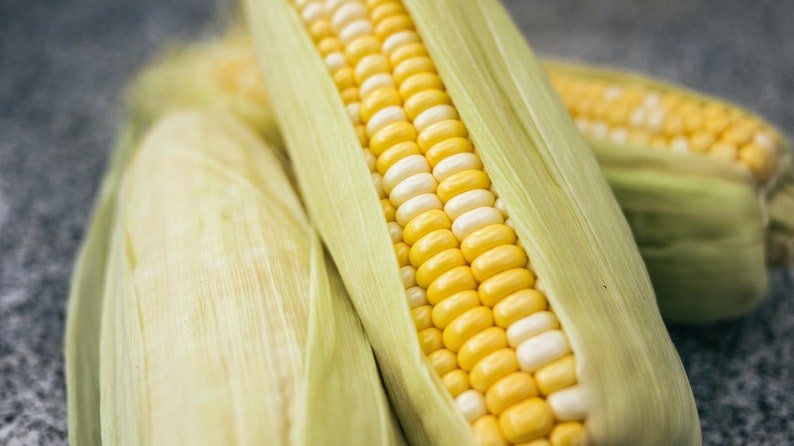 Peaches and Cream Corn Seeds Bicolor Sweet Corn Seeds image 1. Back to sear...