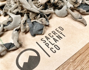 May include: A close-up of dried black and white mushrooms on a brown paper bag with the text "SACRED PLANT CO" printed on it.