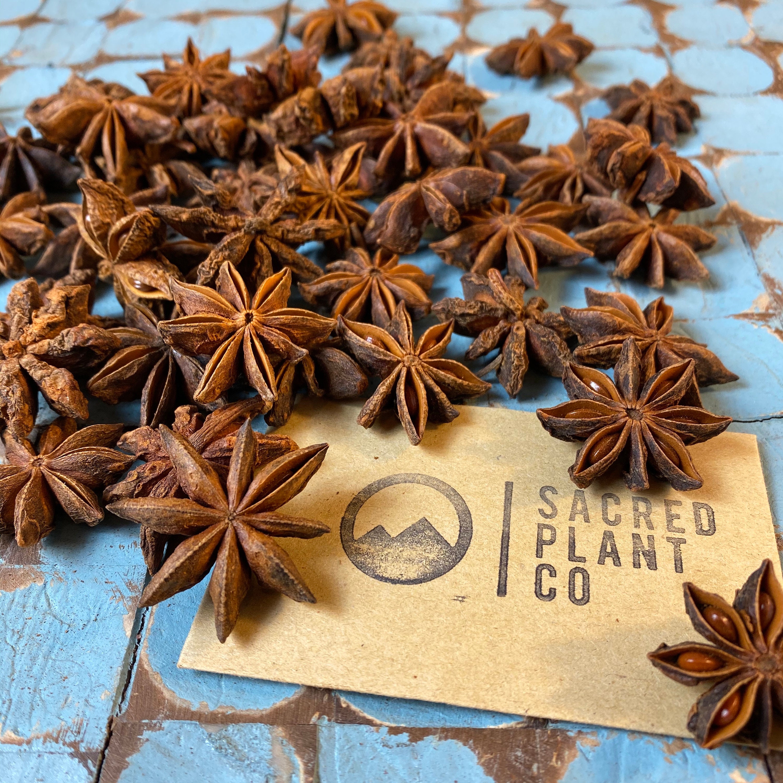 Bulk Star Anise 1 LBS Premium Anise Spice Organic Bulk Etsy UK