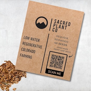 Sacred Plant Co Giant Sequoia Redwood packet with 40 seeds label.