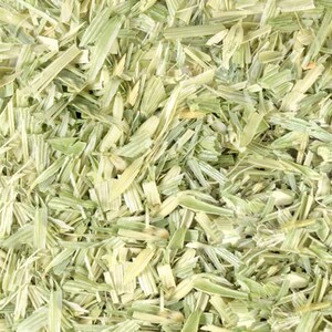 Bulk Oatstraw from Sacred Plant Co.