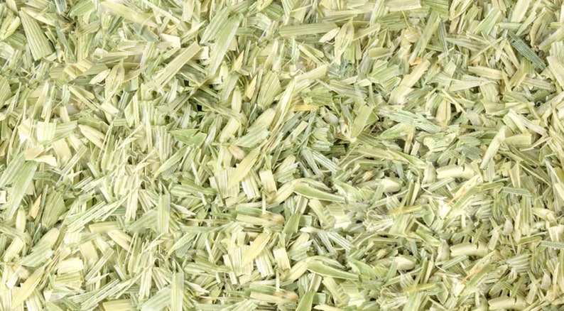 Bulk Oatstraw from Sacred Plant Co.