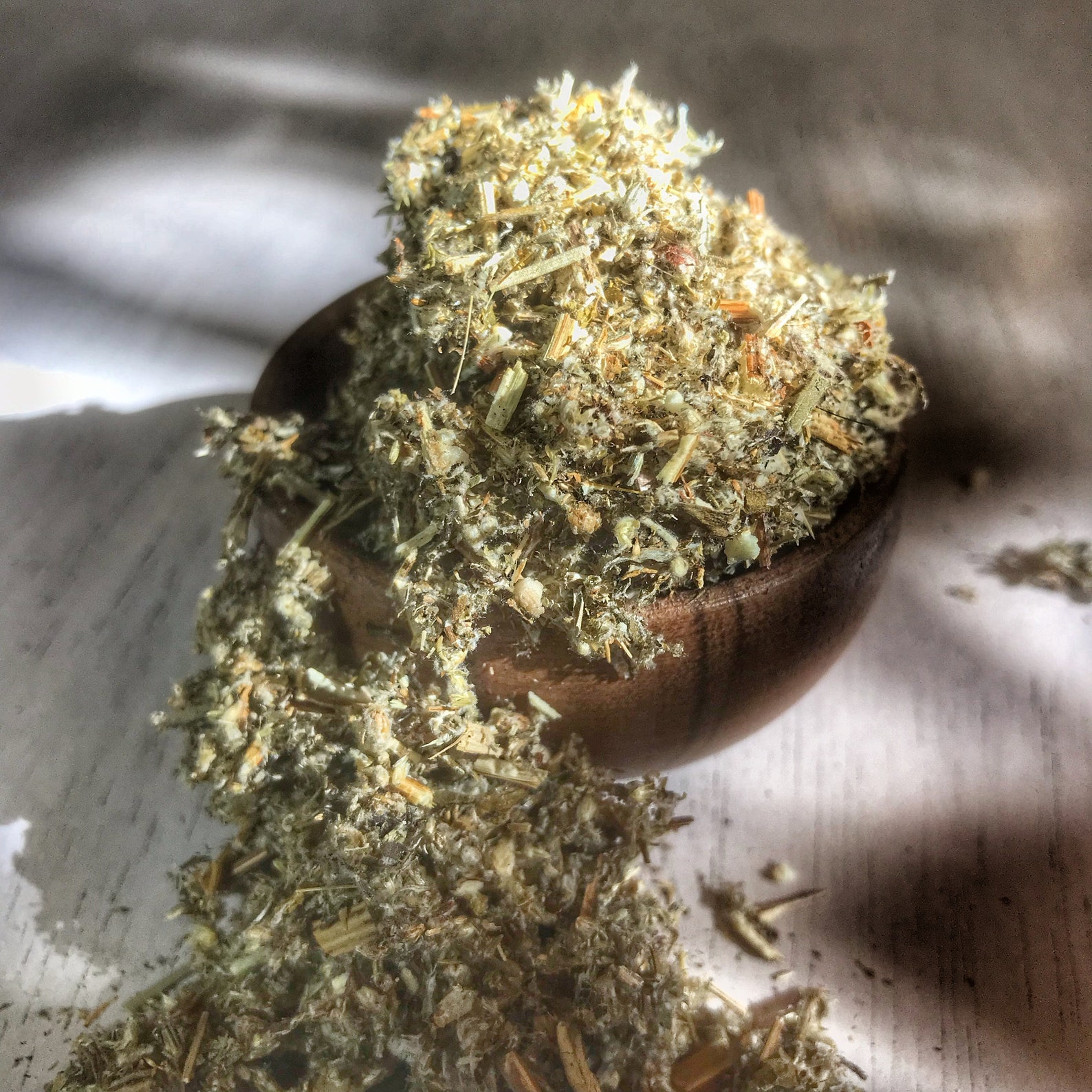 Bulk Dried Mugwort Herb 1 LBS Bulk Mugwort Bulk Dream Etsy