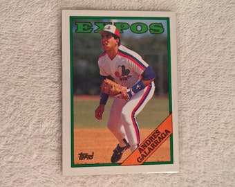 Baseball Card: Andres Galarraga