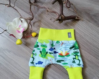 Collectible Frogs Etsy