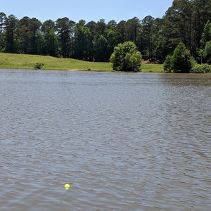 May include: A yellow ball floats in a still lake with a green grassy shore and a line of trees in the background.