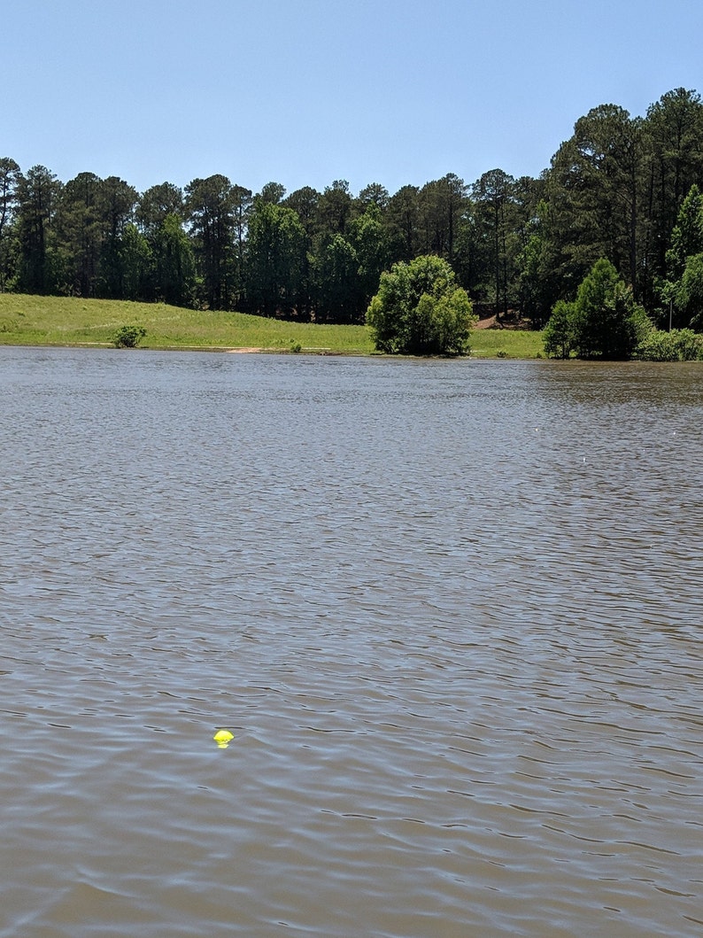 May include: A yellow ball floats in a still lake with a green grassy shore and a line of trees in the background.