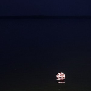 May include: A red and white lantern floating on the water at night.