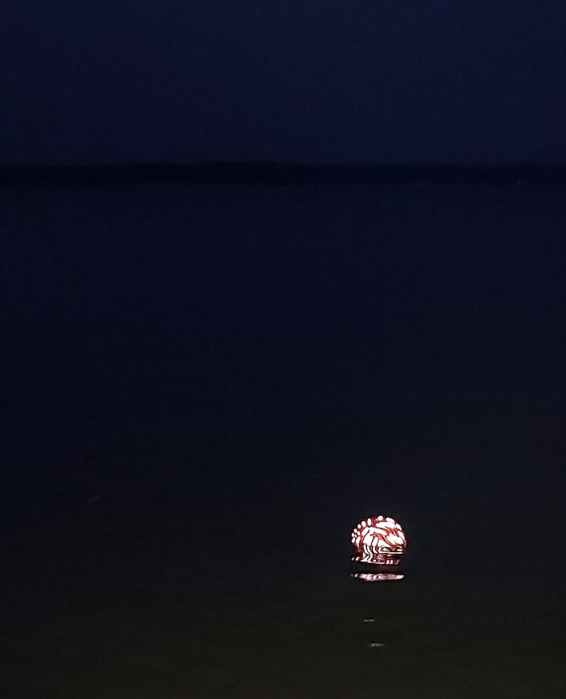 May include: A red and white lantern floating on the water at night.