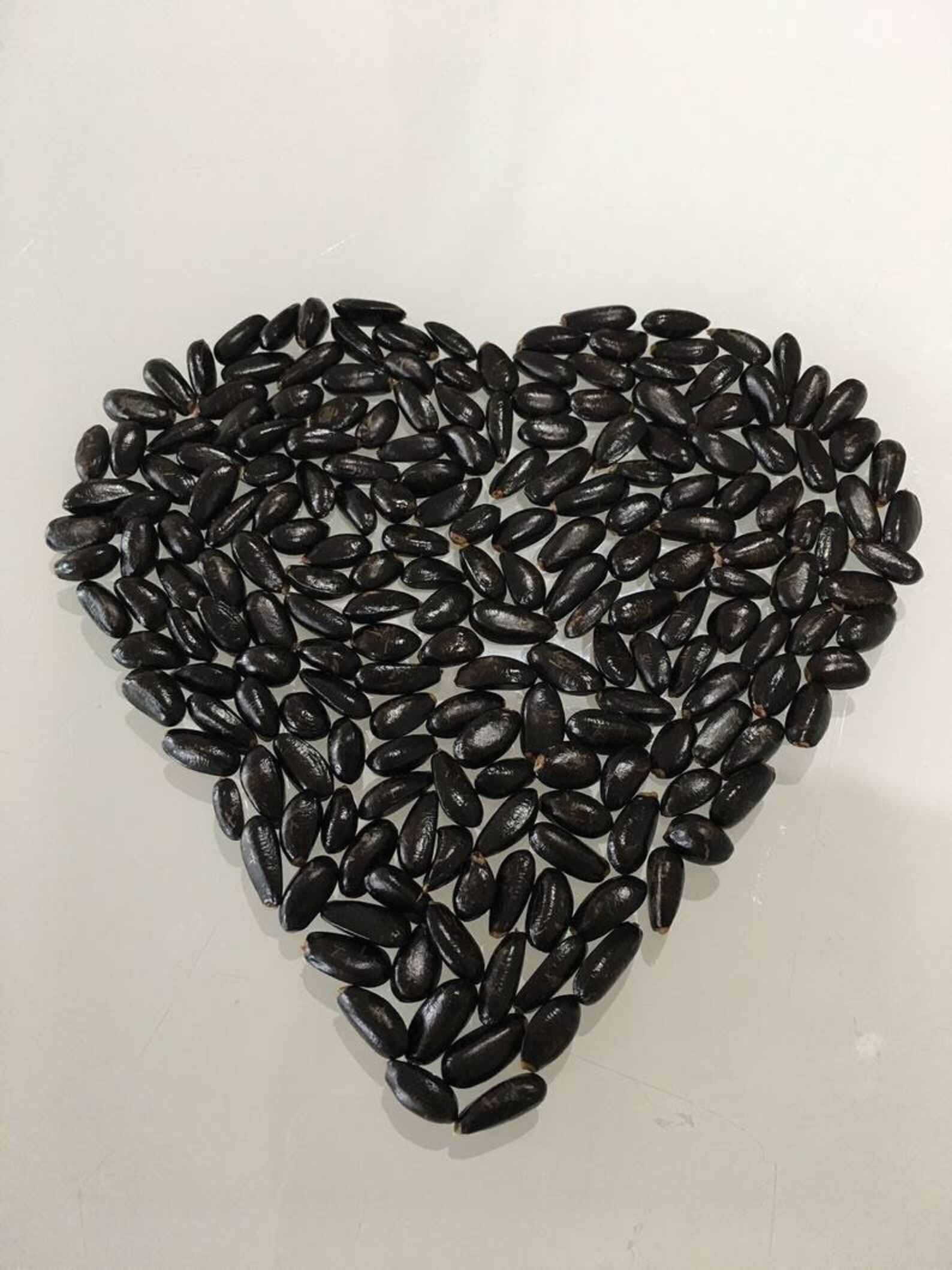 Exotic Tropical Fruits Seeds Mix 5 Each Variety USA SELLER . Etsy