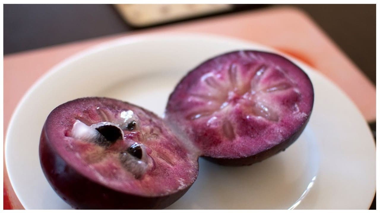 purple star apple purple star apple