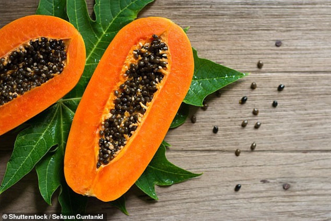 Caribbean Red Papaya Tropical Fruit Organic 300 Seeds USA Etsy