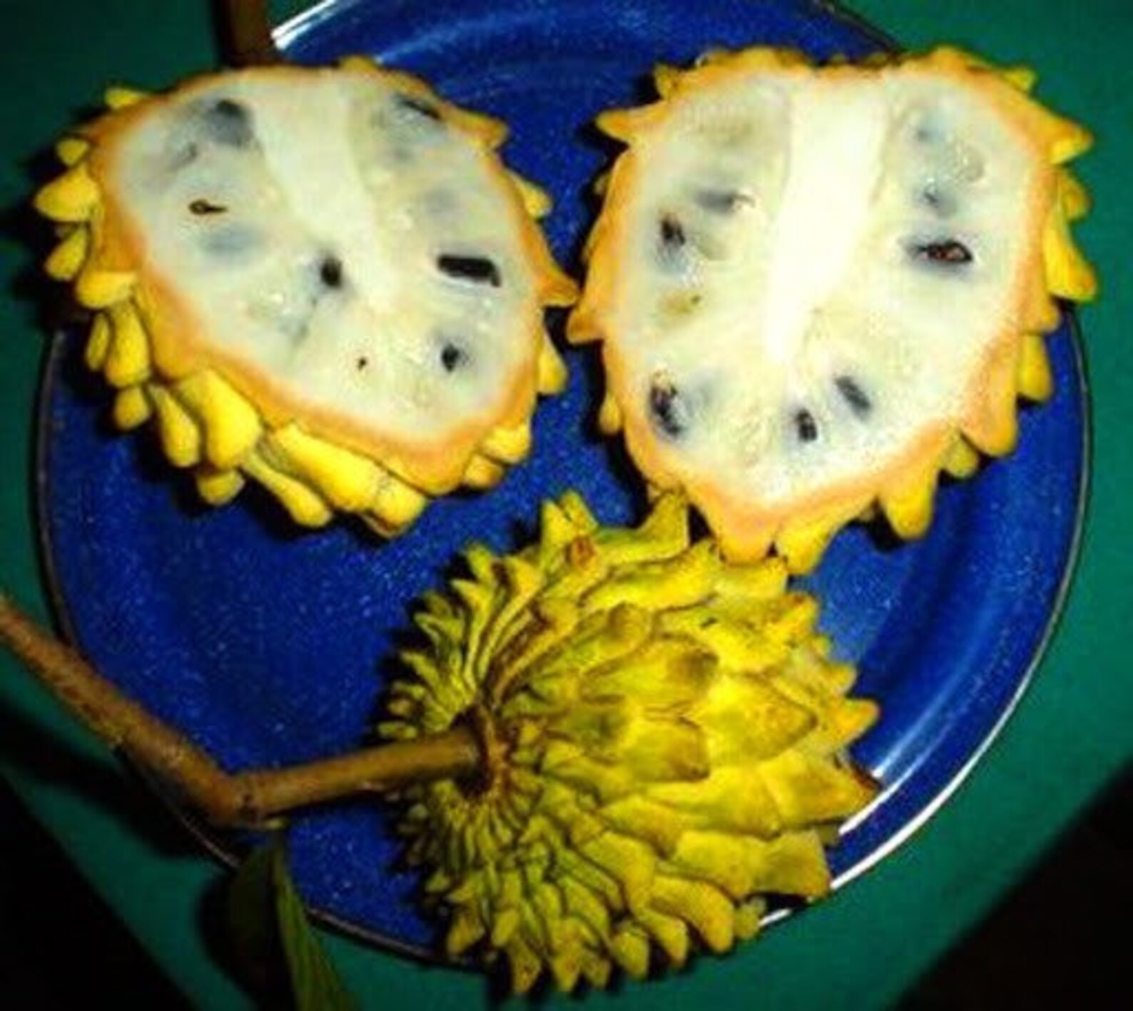 Tropical Exotic Fruits Seeds Mix 5 Each Variety USA SELLER . Etsy