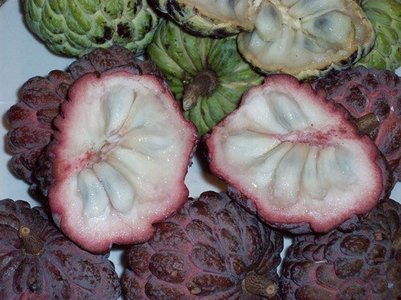 Red Sugar Apple & Green Sugar Apple 10 Seeds Each Varieties Etsy