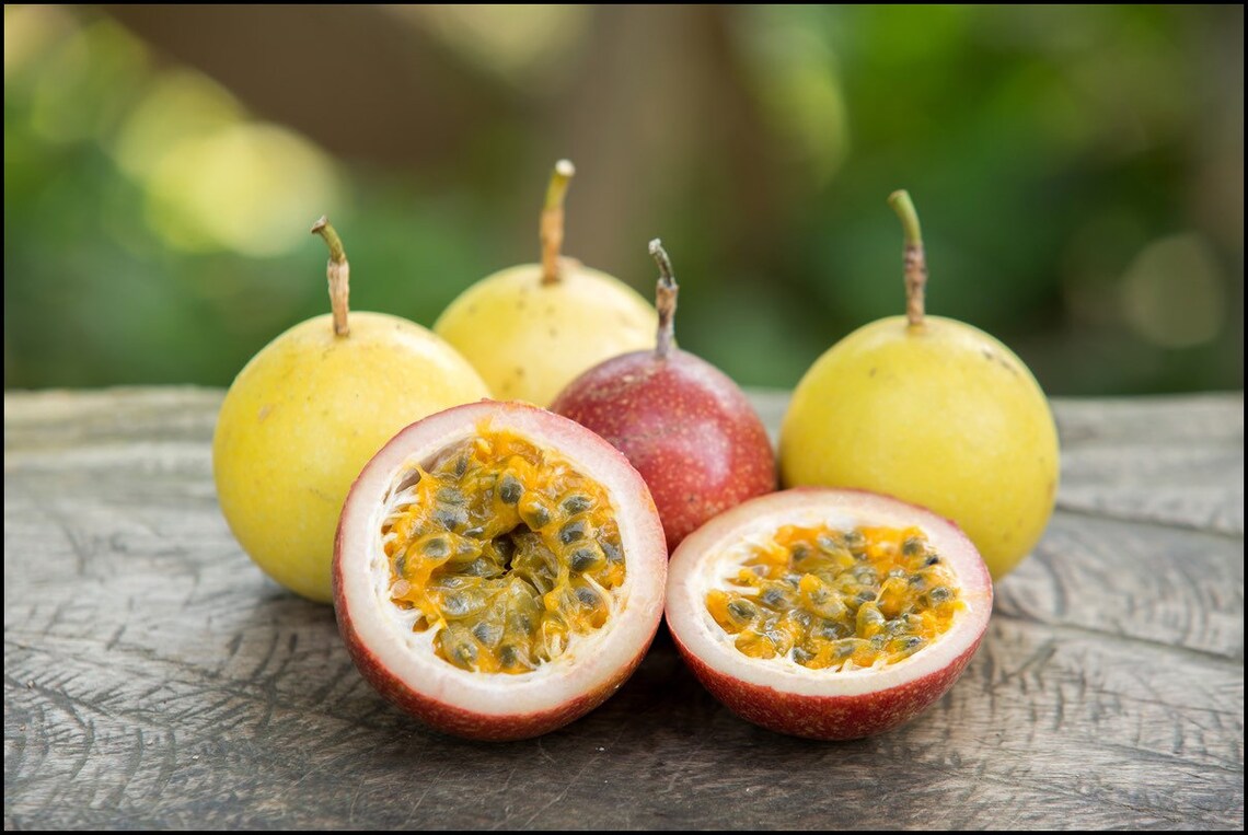 Passion Fruit Seeds Mix Yellow and Purple 50 Each Variety. Etsy