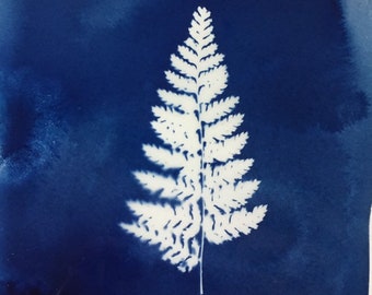 Perfect Fern Cyanotypes