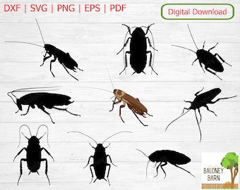 Clipart kakkerlak, kakkerlak SVG, kakkerlak silhouet, kruipend insect, kakkerlak afbeelding, huishoudelijke plaag, snel bewegend insect, digitale download