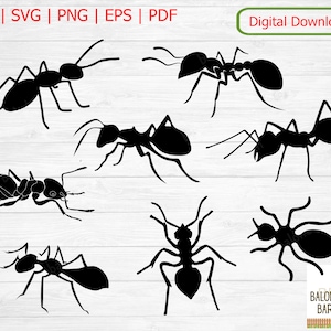 Ant Clipart, Ants SVG, Ant Silhouette, Insect Pest , Ant Vector, Bug Image, Insects Ameise, Bug Antenna, Bugs Insekt Decal, Digital Download