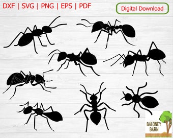 Ant Clipart, Ants SVG, Ant Silhouette, Insect Pest , Ant Vector, Bug Image, Insects Ameise, Bug Antenna, Bugs Insekt Decal, Digital Download