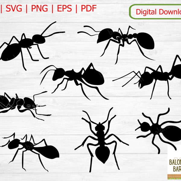 Ant Clipart, Ants SVG, Ant Silhouette, Insect Pest , Ant Vector, Bug Image, Insects Ameise, Bug Antenna, Bugs Insekt Decal, Digital Download