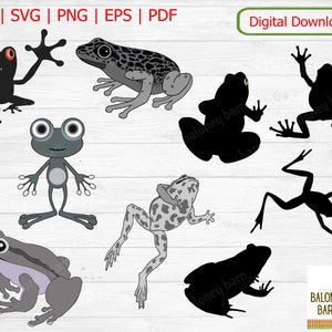Frog Clipart, Amphibian SVG, Tree Frog, Frogs Clip Art, Dart Frog Image ...