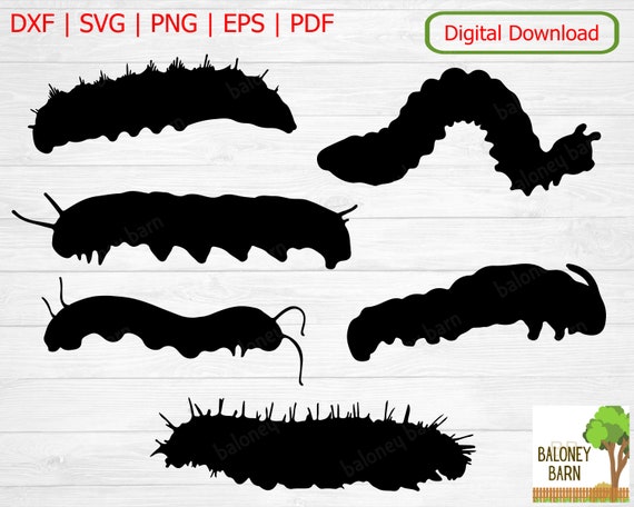 Caterpillar Clipart, Caterpillar Silhouette, Insect Nature, Change  Butterfly, Animal Larva Decal, Grub Maggot Image, Digital Download - Etsy  Canada