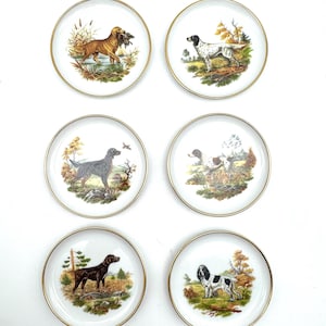 Porcelain Sporting Breed Dog Plates, Vintage Kaiser West Germany Dishes, Set of 6
