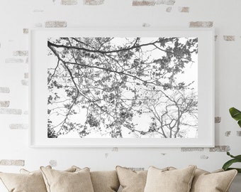 Black and White Nature Photography, Large Fine Art Print, Springtime Botanical Photograph, Boho Home Decor