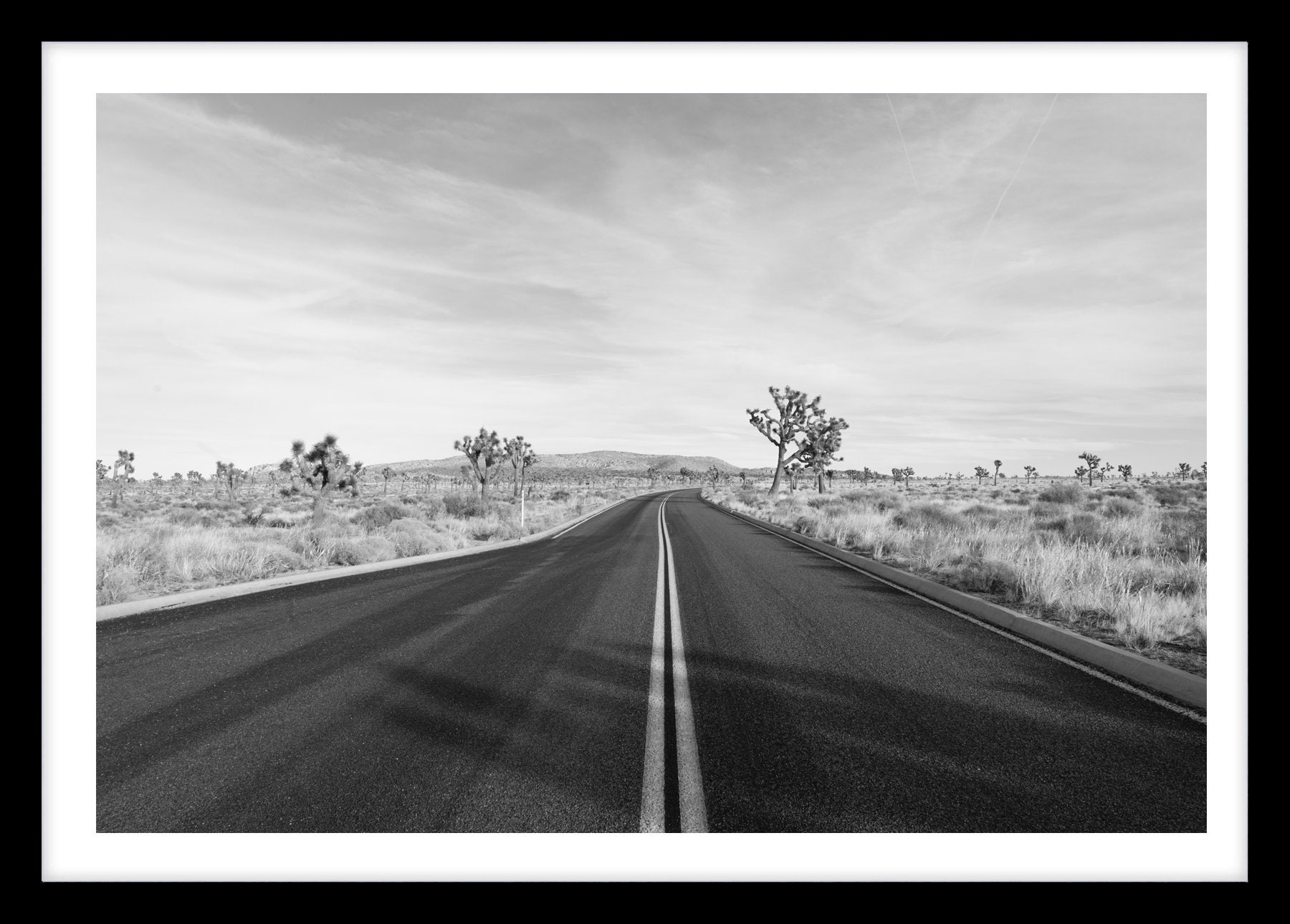 Joshua Tree Black and White Photo Large Fine Art Desert | Etsy