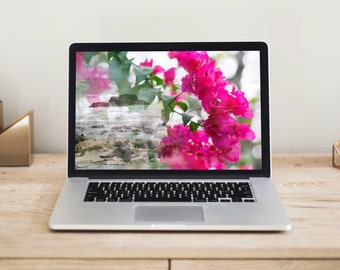 Costa Rica Beach Desktop Wallpaper | Tropical Pink Flowers (Digital Download)