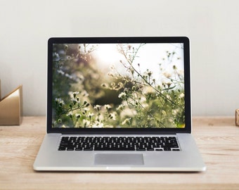 Fall Garden Desktop Wallpaper, Nature Photography (Digital Download)