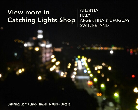 Cherry Blossoms Desktop Wallpaper Winter Plant Photography Pink Flowers Digital Download Flower Calming Dreamy Nature Computer