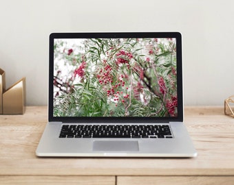 Festive Red Berry Tree Desktop Wallpaper, Winter Nature (Digital Download)