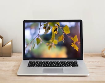 Fall Leaves Desktop Wallpaper, Autumn Nature Photo (Digital Download)