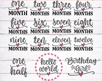 Free Free 175 Baby Monthly Milestone Svg SVG PNG EPS DXF File