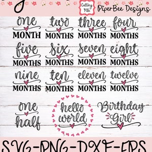 Niñas Primer Año Hitos Mensuales SVG, Primer Año SVG, Meses de Bebé Svg, Hitos Mensuales Svg, Recién Nacido Svg, Hitos Infantiles Svg