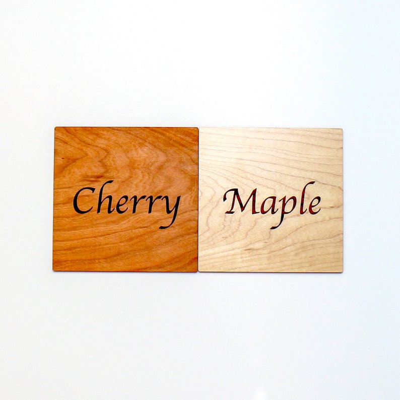 Plant Markers Plant Labels Succulent Gifts Plant Lovers Etsy