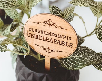 Plant Markers, Best Friend Birthday, Gift for Best Friend Female, Gifts for Friends, Punny Gifts,