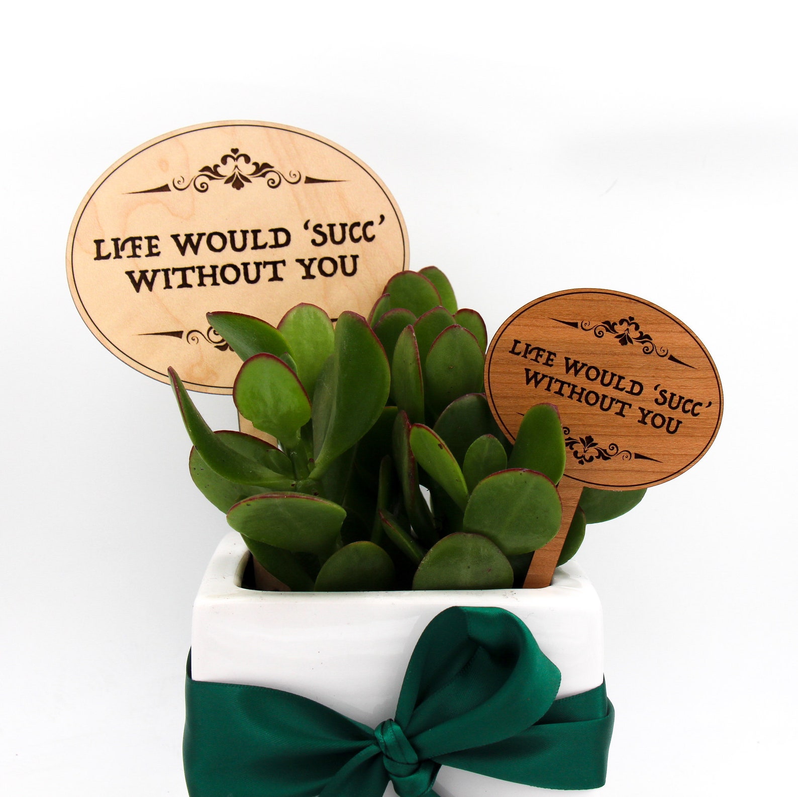 Plant Markers Plant Labels Succulent Gifts Plant Lovers Etsy