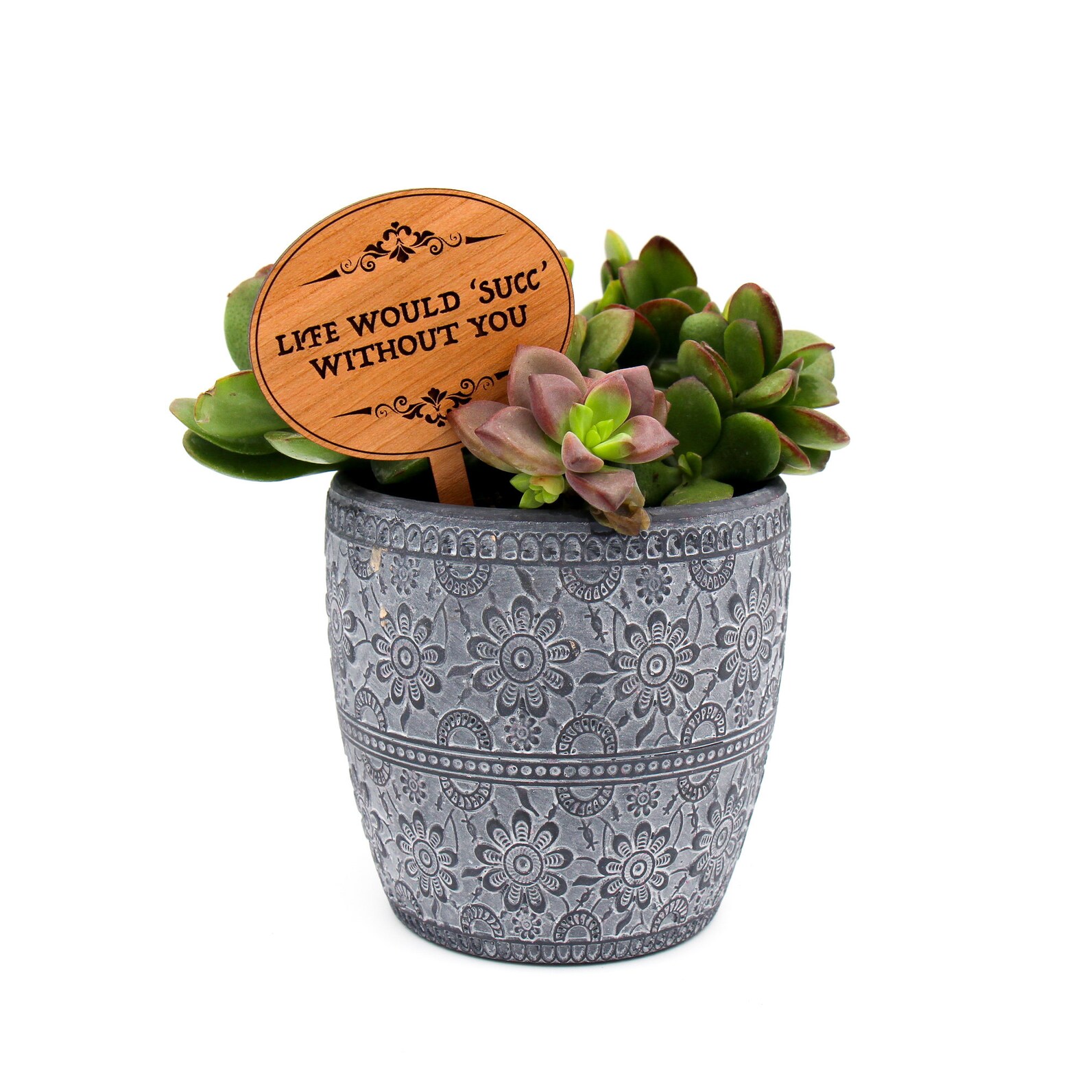 Plant Markers Plant Labels Succulent Gifts Plant Lovers Etsy