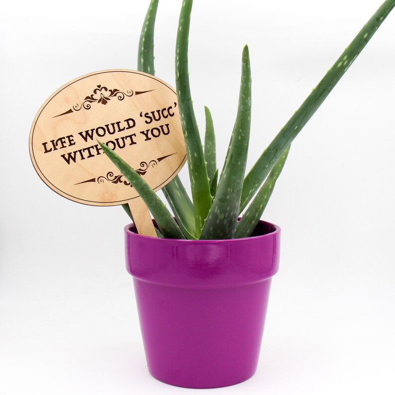 Plant Markers Plant Labels Succulent Gifts Plant Lovers Etsy