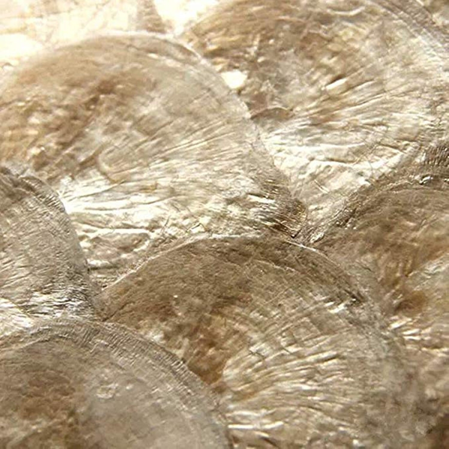 Capiz Shell Cladding Premium Golden Capiz Shell Tile, Luxury Epoxy Mother of Pearl Mosaic ...
