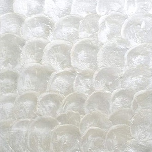May include: A close-up of a white, textured surface made of many small, overlapping, iridescent shell pieces.