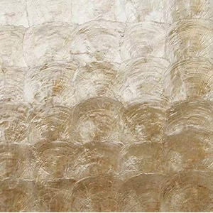 Puede incluir: Primer plano de una superficie texturizada hecha de azulejos de nácar iridiscente. Los azulejos están dispuestos en un patrón de semicírculos superpuestos, creando un efecto brillante y nacarado.