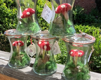 1x HAPPINESS IN A GLASS felted fly agaric “preserved” in a preserving jar