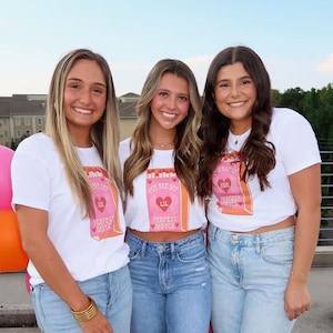 Big Little Perfect Match Sorority Family Shirt