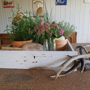 May include: A white, distressed wooden box filled with potted herbs and flowers, including rosemary and pink blooms. Antlers rest on the table in front of the box. The scene is set on a brown table, with a rustic, farmhouse aesthetic.